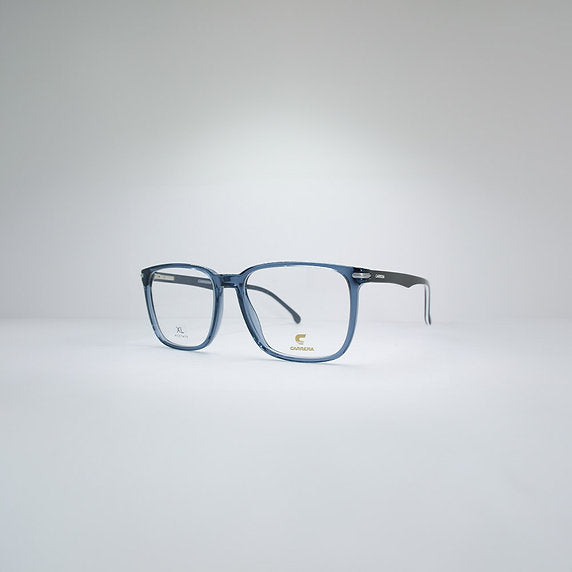CARRERA 309