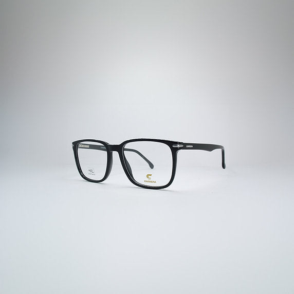 CARRERA 309