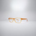 EMPORIO ARMANI EA3179