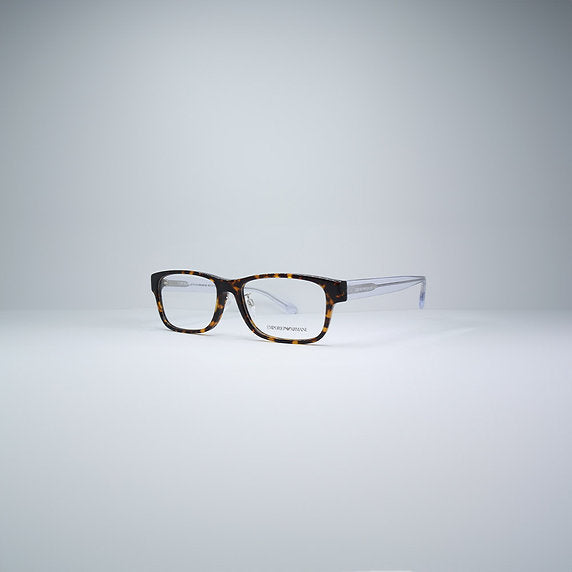 EMPORIO ARMANI EA3179F