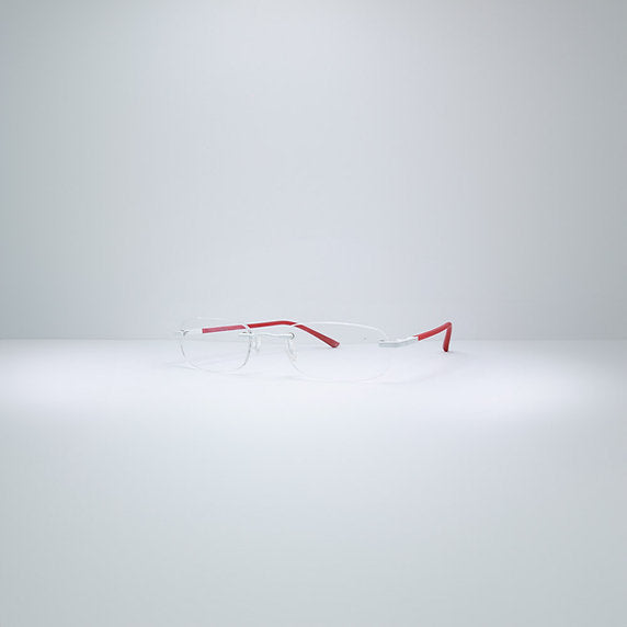 NIKE FLEXON 463