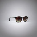 RAY BAN RB4187