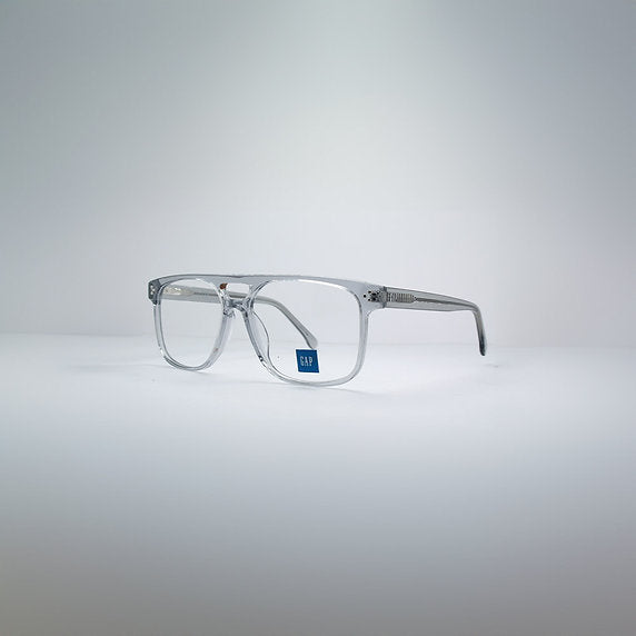 GAP VGP004
