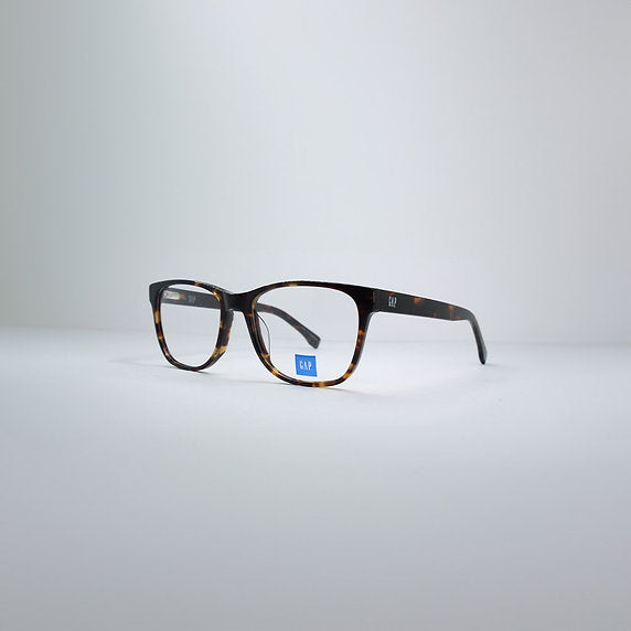 GAP VGP008