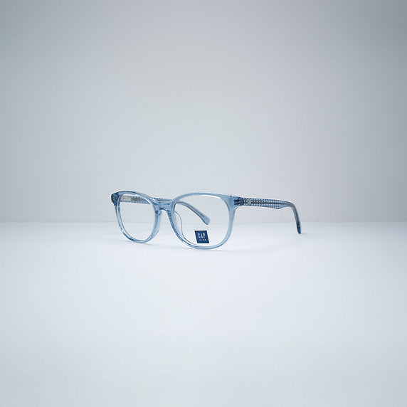 GAP VGP220
