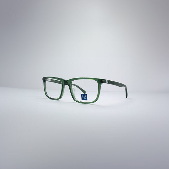 GAP VGP210